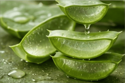 ALOE VERA