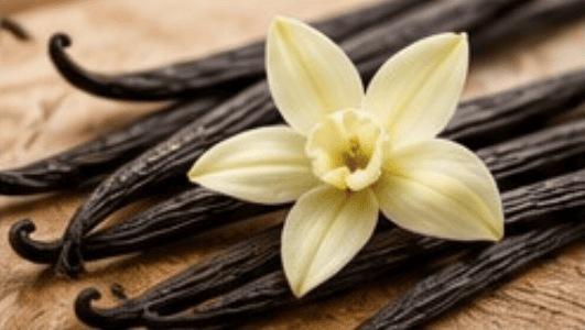 VANILLA BEAN